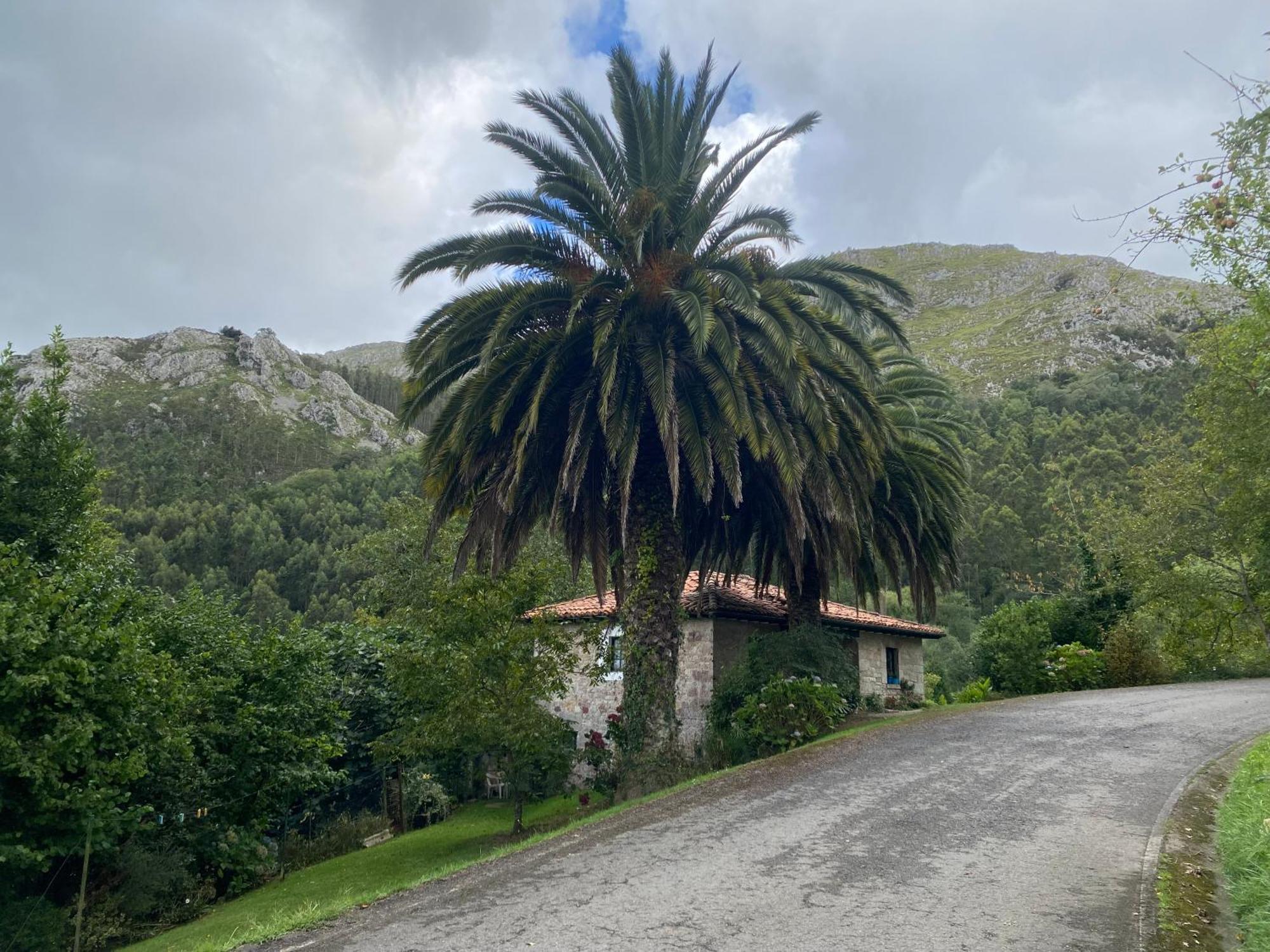 Casa Estilo Rural Con Jardin Entre Playa Y Montana Villa Caravia Kültér fotó